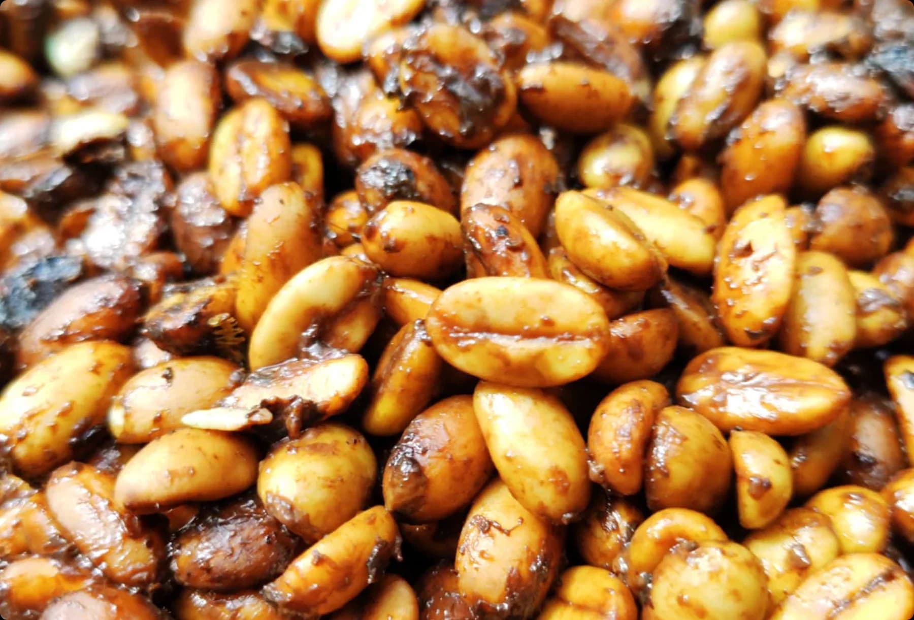 A single coffee bean coated in honey-like mucilage, drying